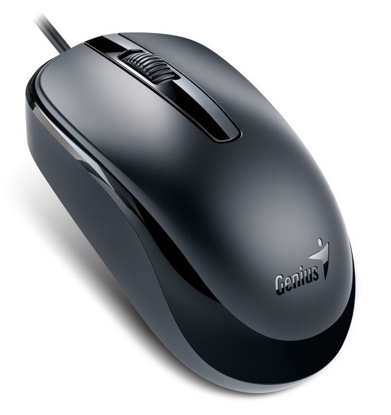 Obrázek Genius myš DX-120 / drátová / 1200 dpi / USB / černá