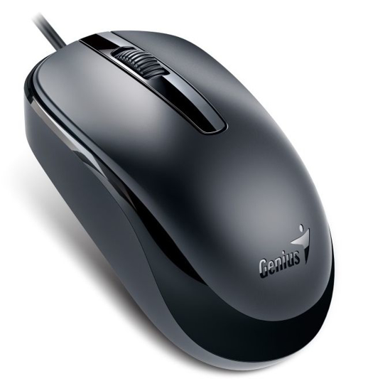 Obrázek Genius myš DX-120 / drátová / 1200 dpi / USB / černá